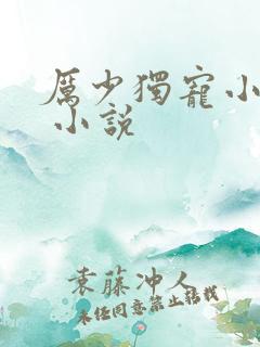 厉少独宠小娇妻 小说