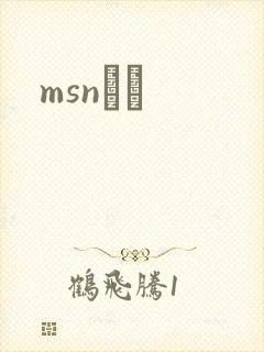 msnС˵
