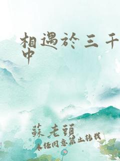 相遇于三千肉文中