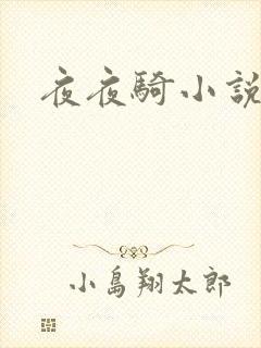 夜夜骑小说