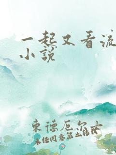 一起又看流星雨小说