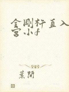 金刚杵直入莲花宫小f