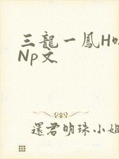 三龙一凤H啪肉Np文