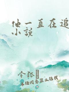 他一直在追初恋小说