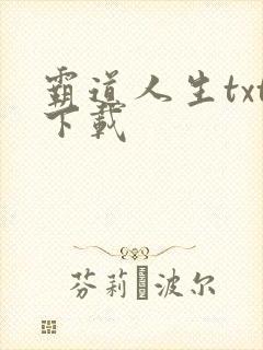 霸道人生txt下载
