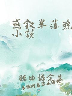 燕钗半落琥珀糖小说