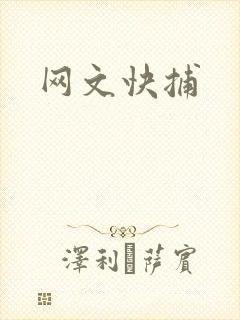 网文快捕