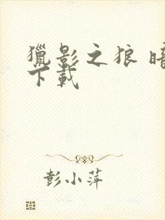 猎影之狼 暗夜下载