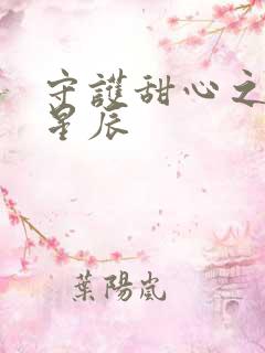 守护甜心之暗夜星辰