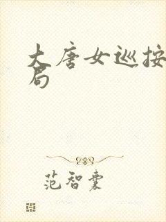 大唐女巡按大结局