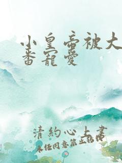 小皇帝被大臣轮番宠爱