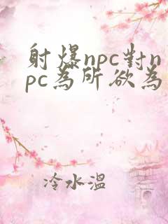 射爆npc对npc为所欲为的世界