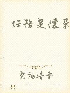 任务是怀孕系统