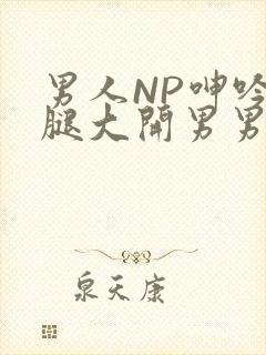 男人NP呻吟双腿大开男男小说