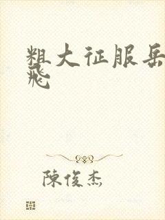 粗大征服岳女双飞