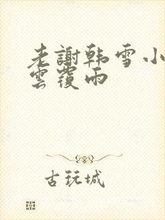 老谢韩雪小说翻云覆雨