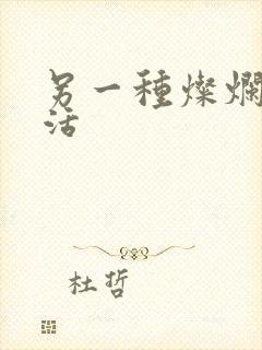 另一种灿烂的生活