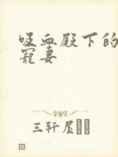 吸血殿下的娇萌宠妻