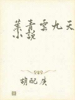 叶青云九天玄宗小说