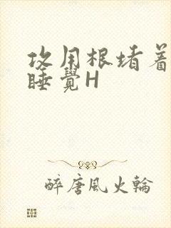 攻用根堵着小受睡觉H