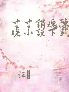 寸寸销魂陈聪王暖小说下载