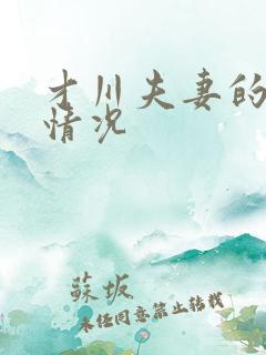 才川夫妻的恋爱情况