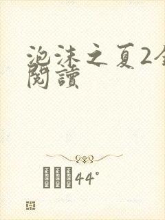 泡沫之夏2全文阅读