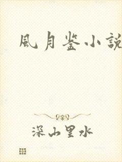 风月鉴小说论坛