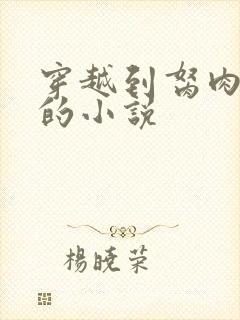 穿越到胬肉系统的小说