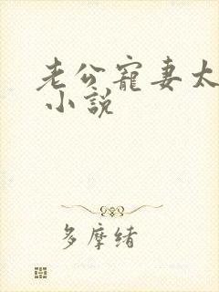 老公宠妻太甜蜜 小说