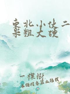 东北小伙二十厘米粗大硬