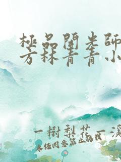 极品开光师李南方林青青小说免费阅读