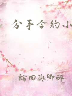 分手合约小说