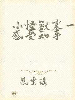 小怪兽塞一天的感受知乎