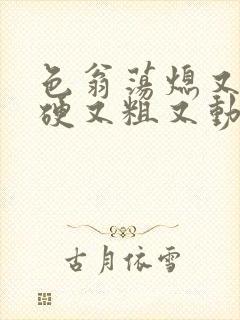 色翁荡熄又大又硬又粗又动态图