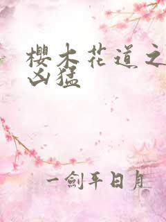 樱木花道之重生凶猛