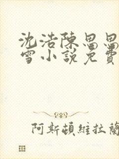 沈浩陈思思秦菲雪小说免费阅读笔下载