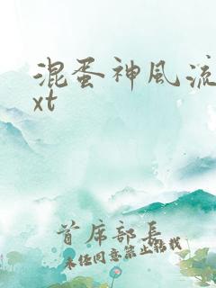 混蛋神风流史txt