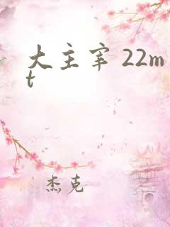大主宰 22mt