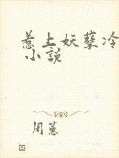 惹上妖孽冷殿下 小说