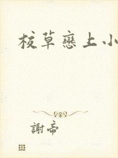 校草恋上小丫头