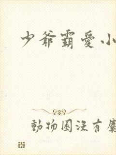 少爷霸爱小丫头