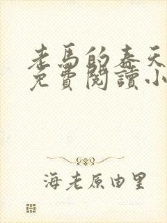 老马的春天全文免费阅读小说