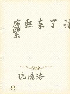 康熙来了 潘迎紫