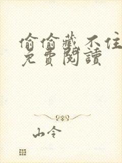 偷偷藏不住小说免费阅读