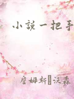 小说一把手