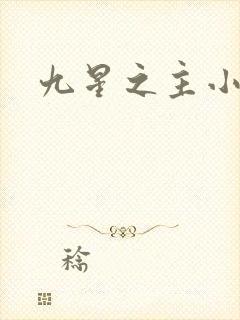 九星之主小说