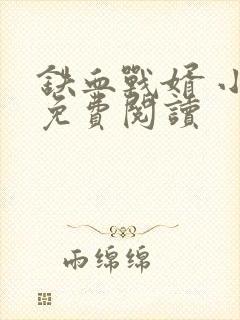 铁血战婿 小说免费阅读