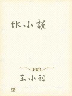 tk小说