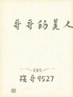 哥哥的美人